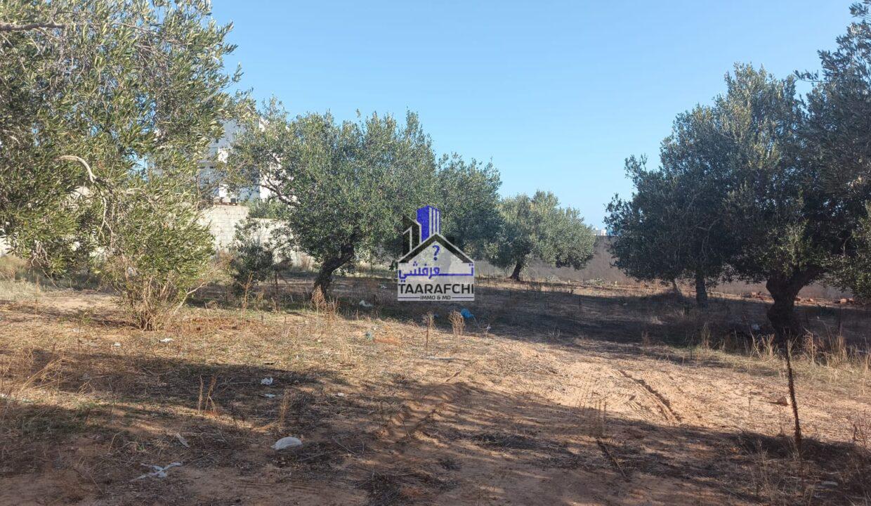 3214724d-fb74-413e-9019-2aeb70730d1b