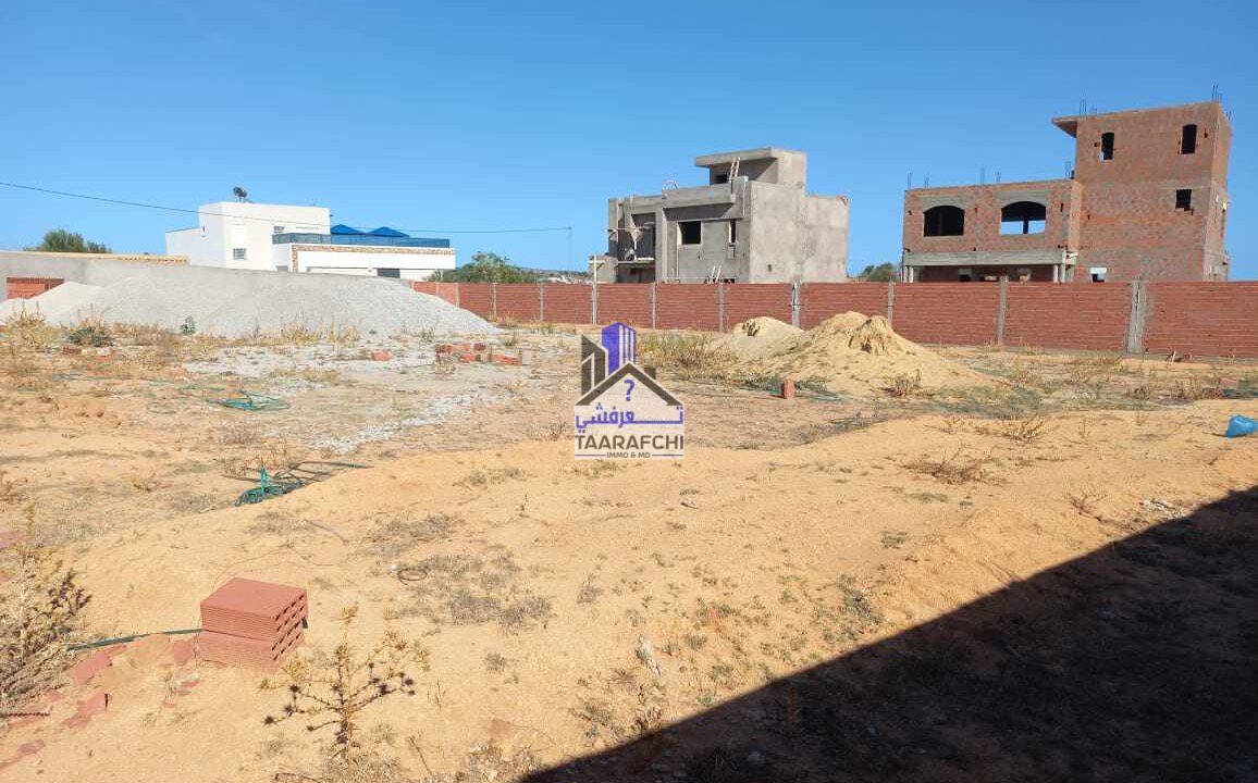 348366305_776164820895948_549028565987546730_n