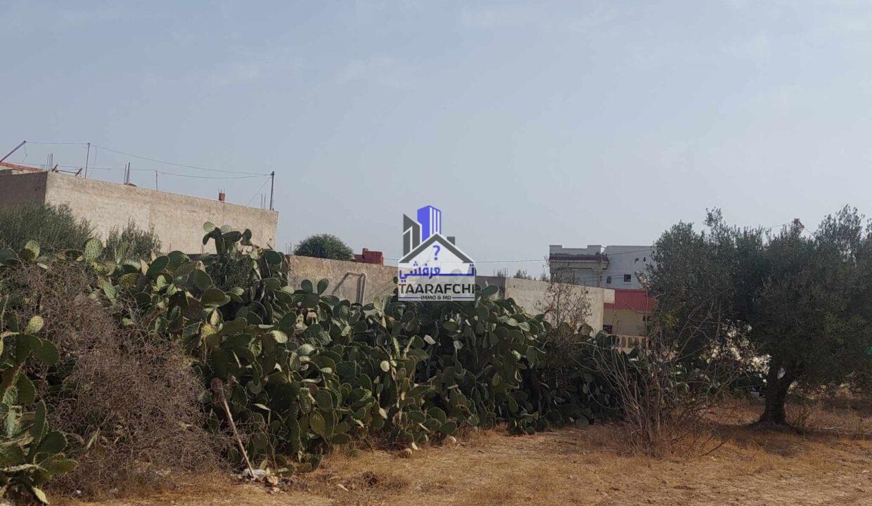 387560803_1705145813344366_6565980100225158025_n