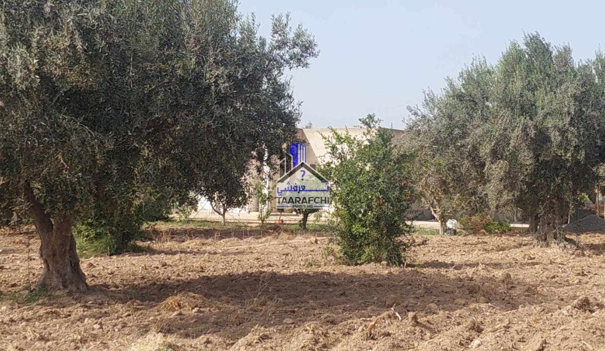 387572075_874684370537648_8831725049231705580_n