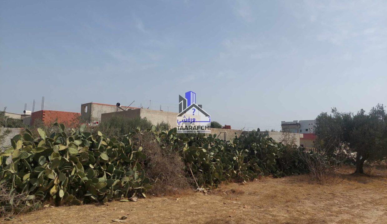 387598947_250042604737131_3844300353555694169_n