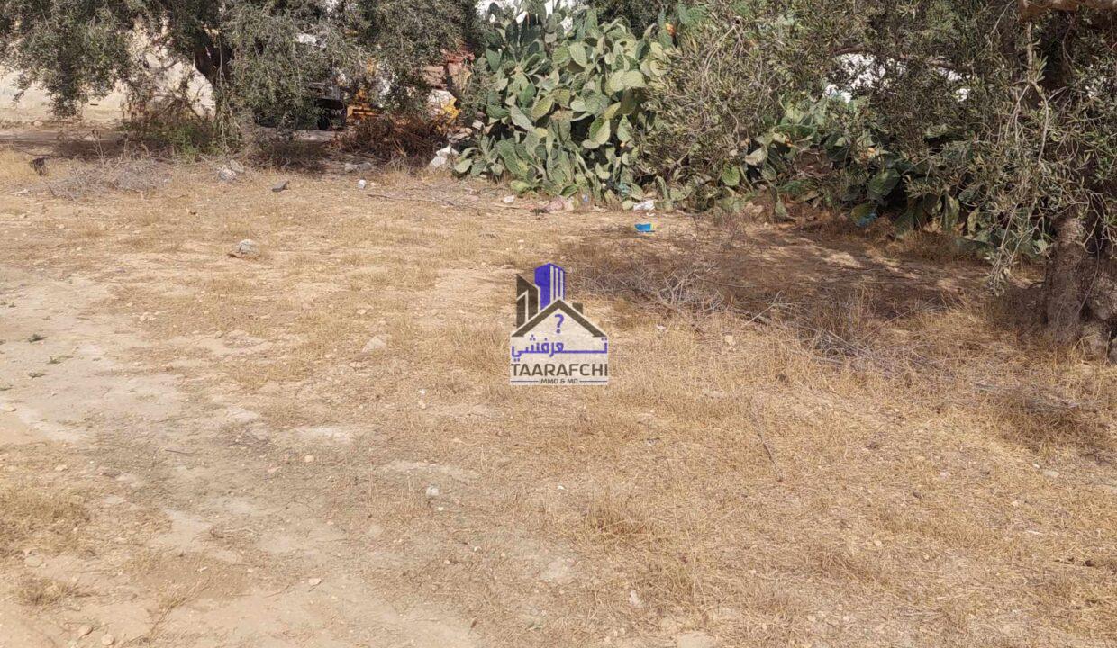 387626623_1289184471782848_2396465630790786513_n