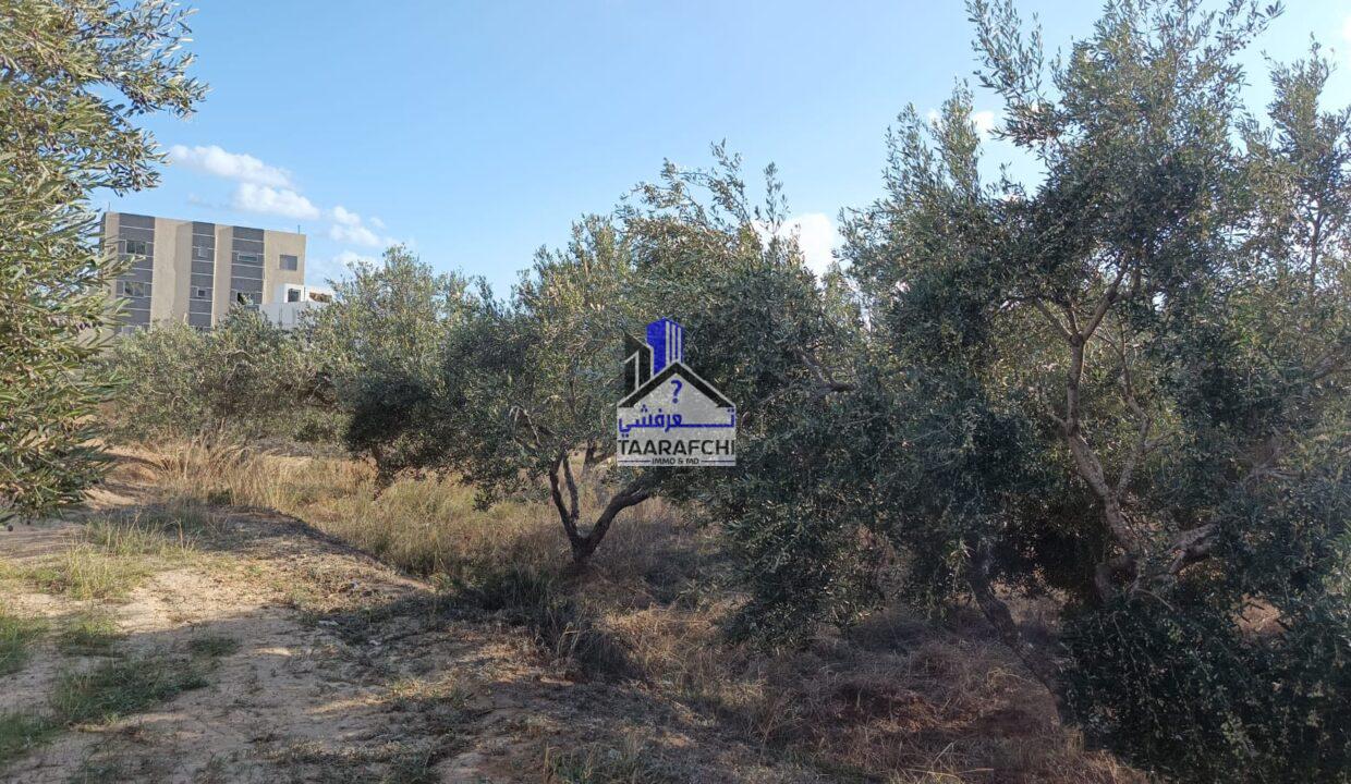 49fd46cc-22b9-4281-852e-e5cb040cf011