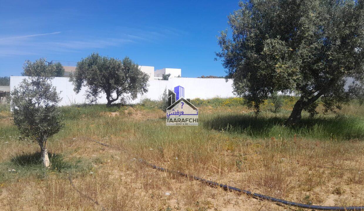 5201c021-3da7-4bb3-8ef7-83e9b55767fa