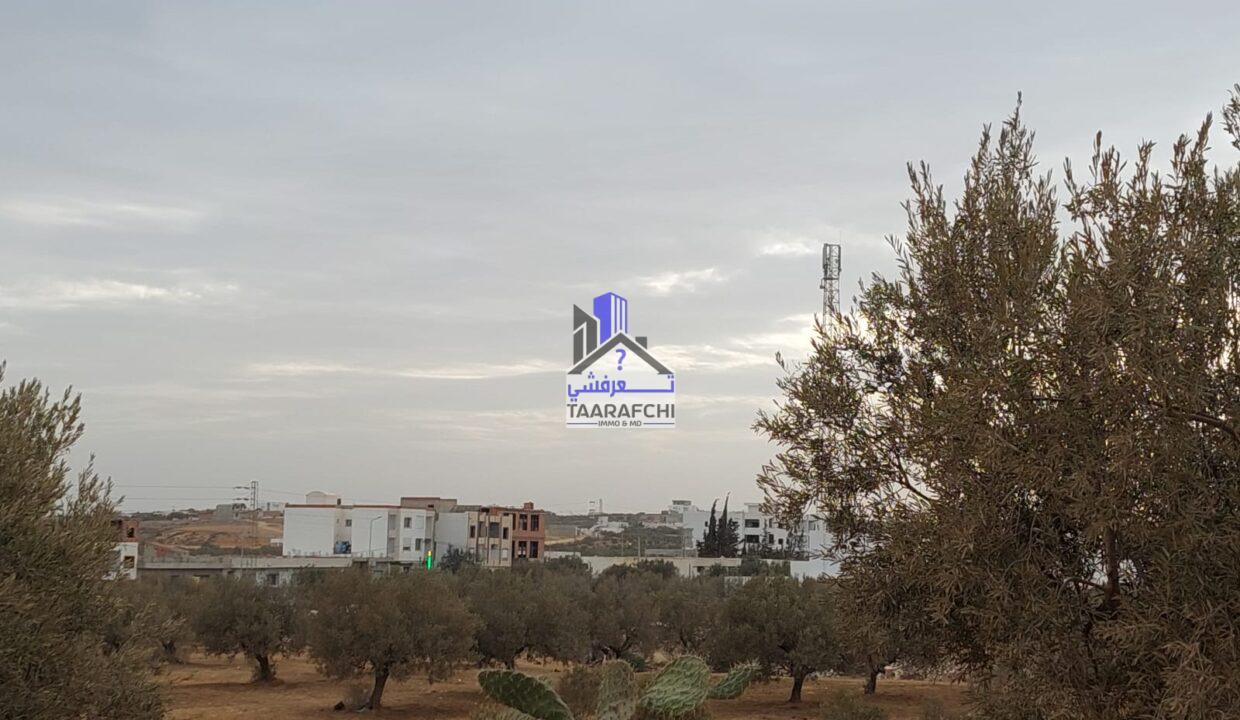 5778a943-4491-4992-84f0-2b2ac6c2228c