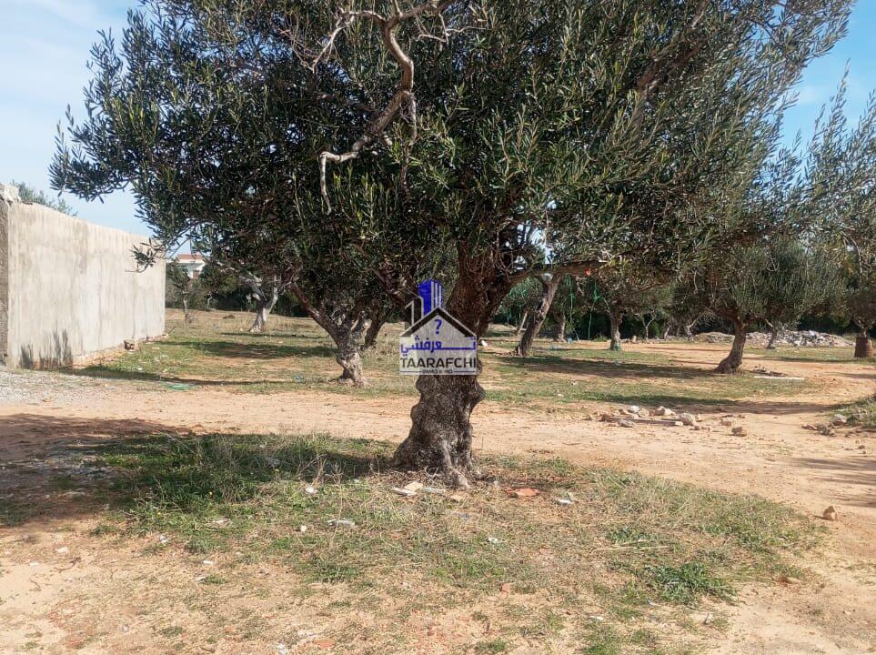 57d6b841-68cb-411f-94a4-0f6918b9a23f