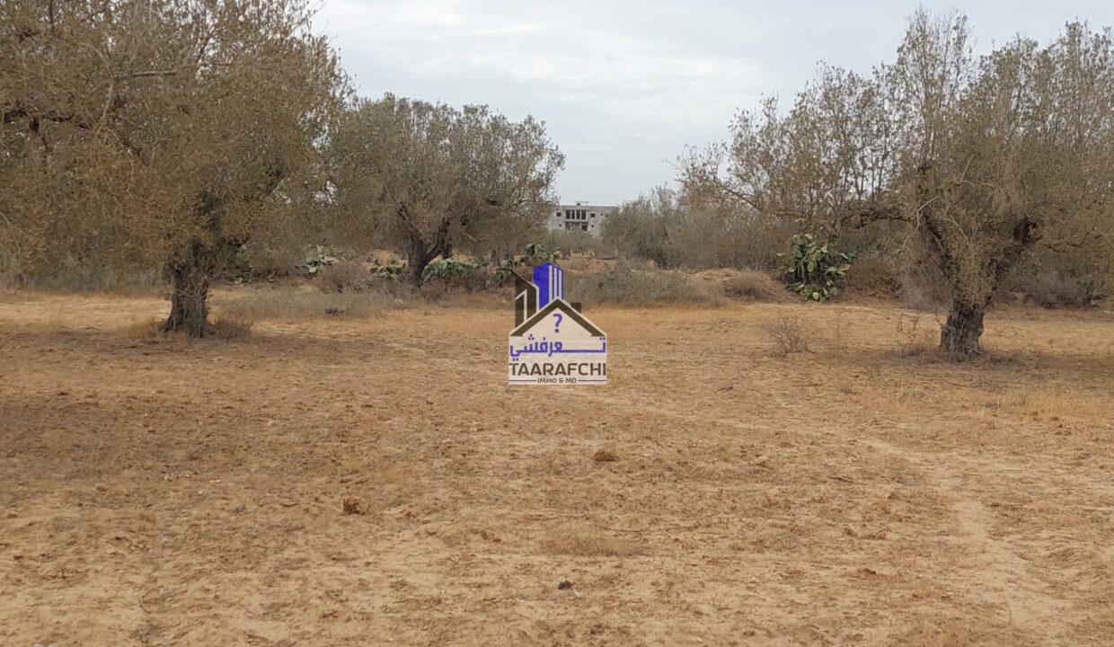 5f41b781-daee-4b39-9946-2489cb2af5e8