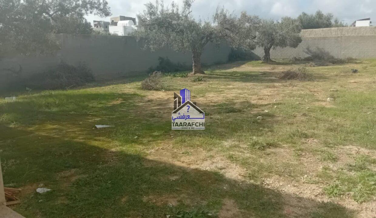 6a628118-3df4-4184-8e03-b7135a1e633a