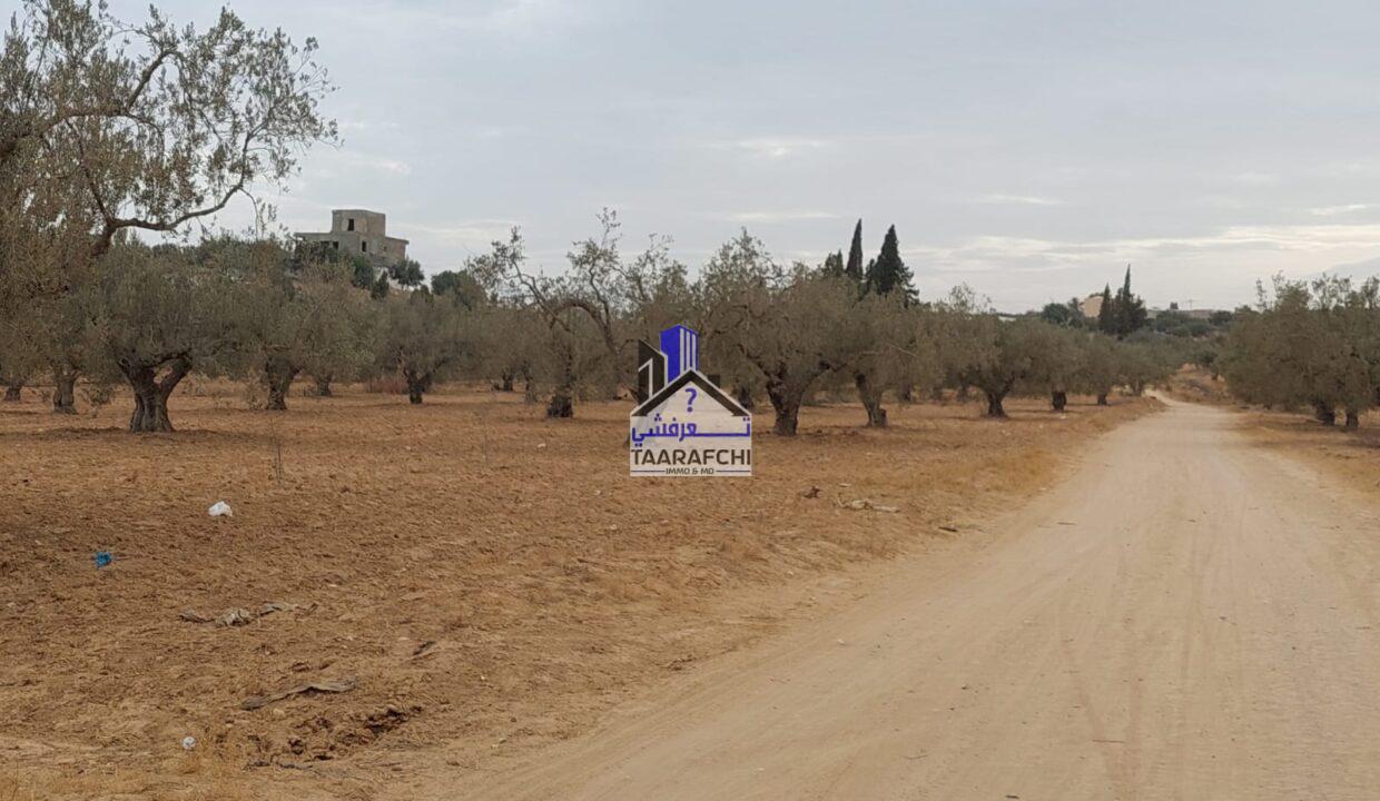 6aa45bd6-3ed3-4bc3-829e-3021245d236a