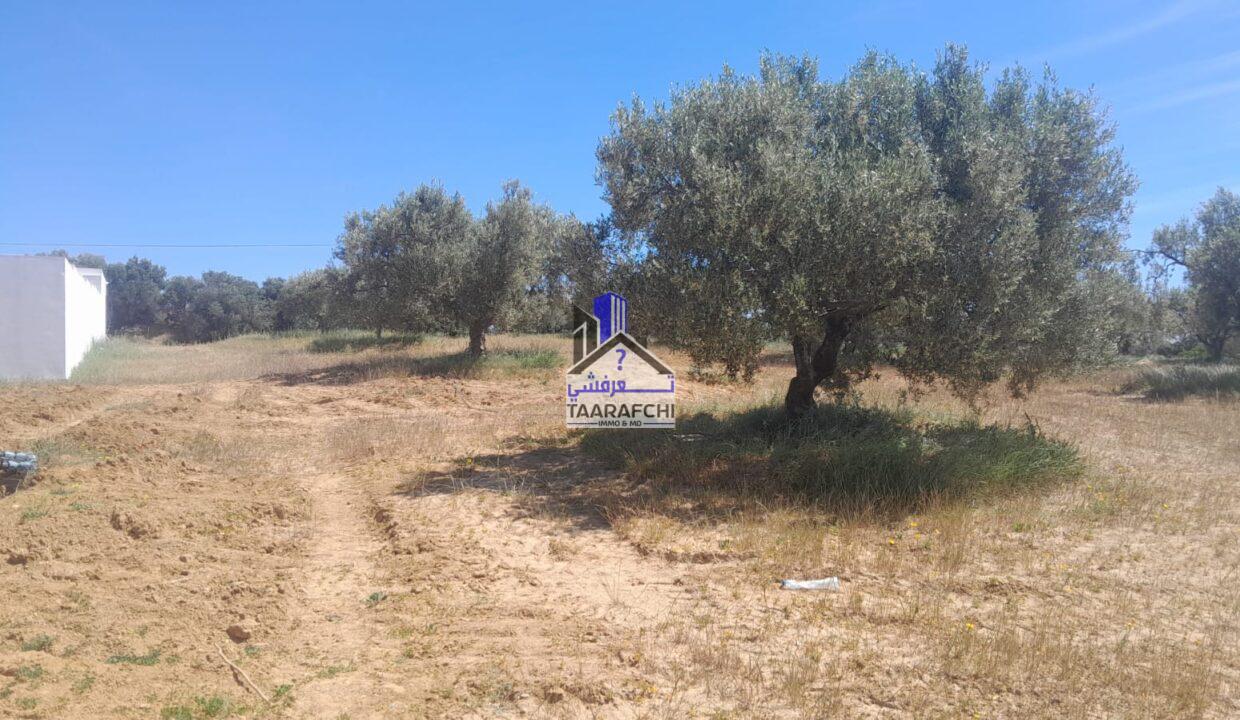 741c8d67-c6ee-4617-8ff0-1c9c7b9971ce