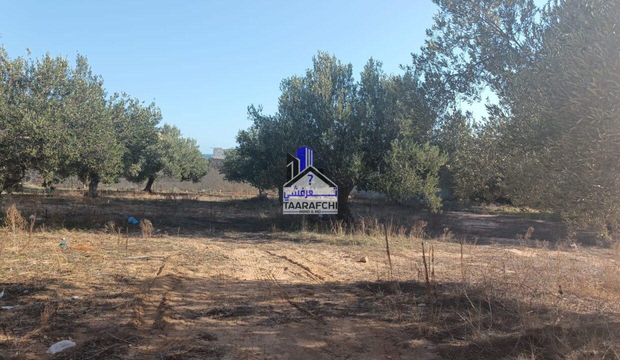 76617849-00a6-4a86-aab3-ddbc19d6bda9