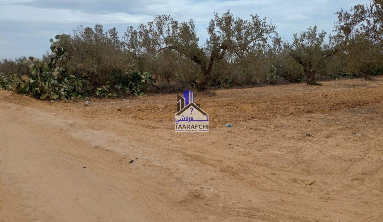 77e8bf50-21a0-450d-8aed-57a99f67807b