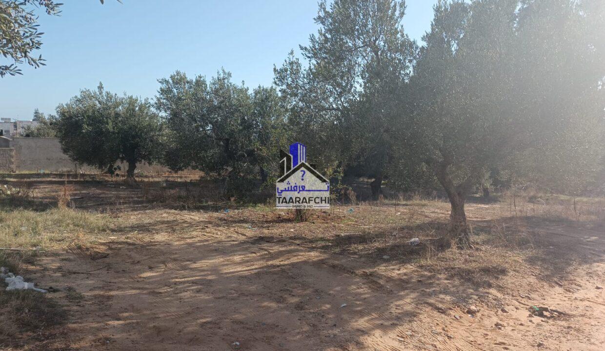 86ef032a-f8b0-411a-abbf-3a895d8b0eb8