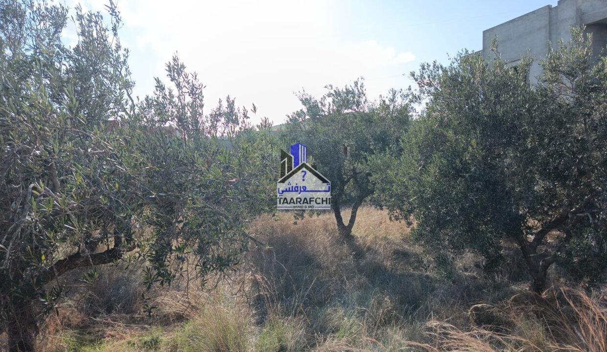 9a9b8508-ad76-4331-9c9a-397df1aee2b6