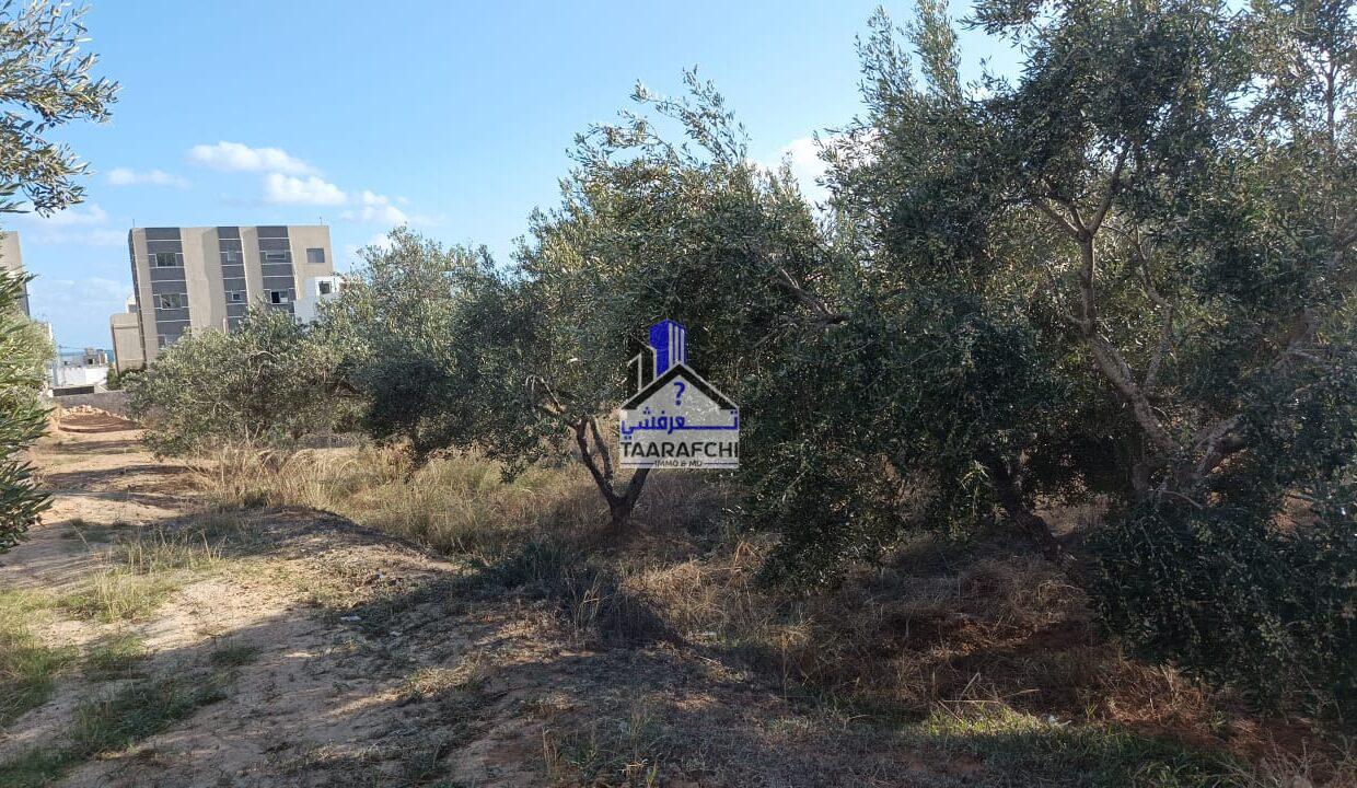 ac2eadde-e2d6-466d-8661-c9237edfadcb