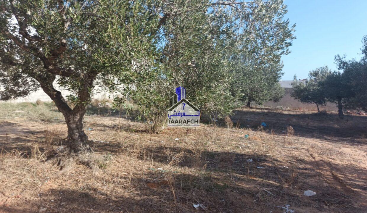 b3d895e0-d822-483c-8516-fe2e14ecaff4