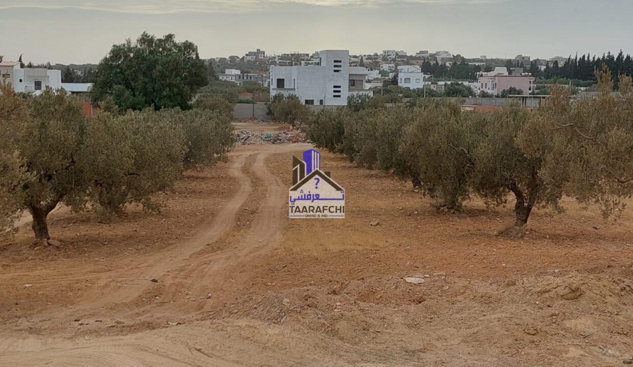 bf3af894-4372-41f0-a80b-7358d670e1a0