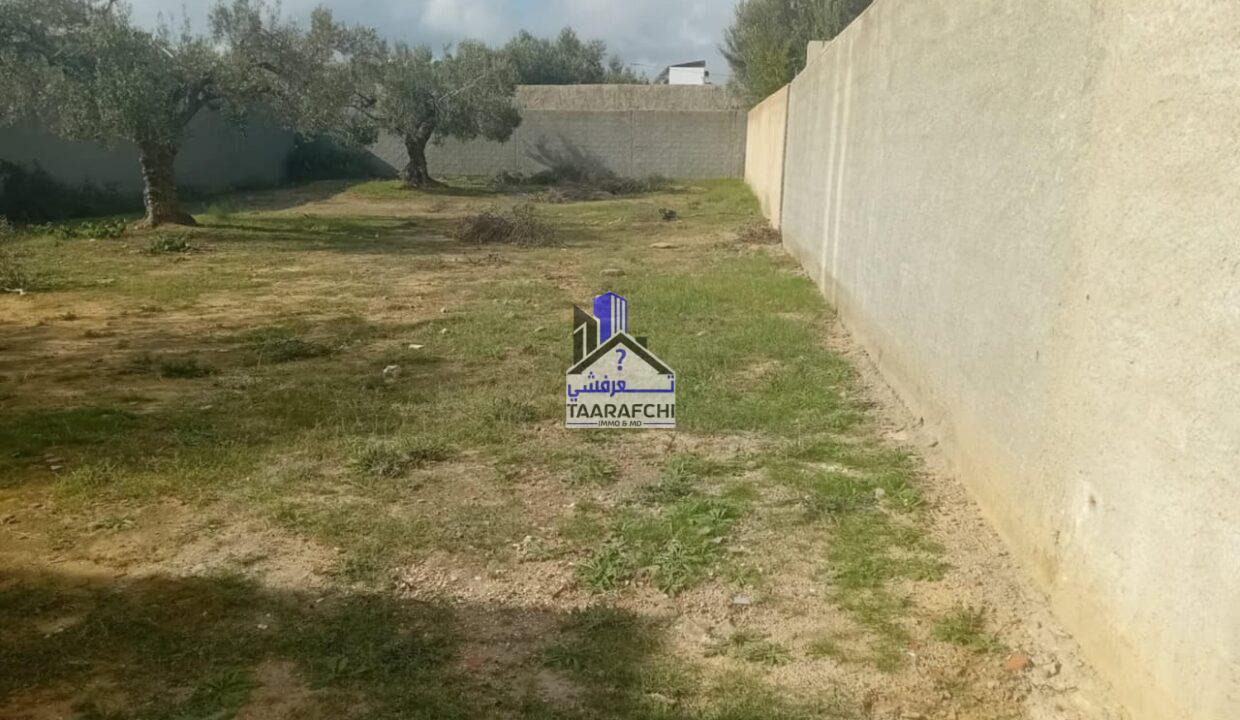 c3190992-2022-4223-a036-d436eb16a90f