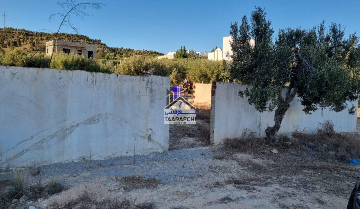 cc10126e-5742-4f26-874c-cee866745856