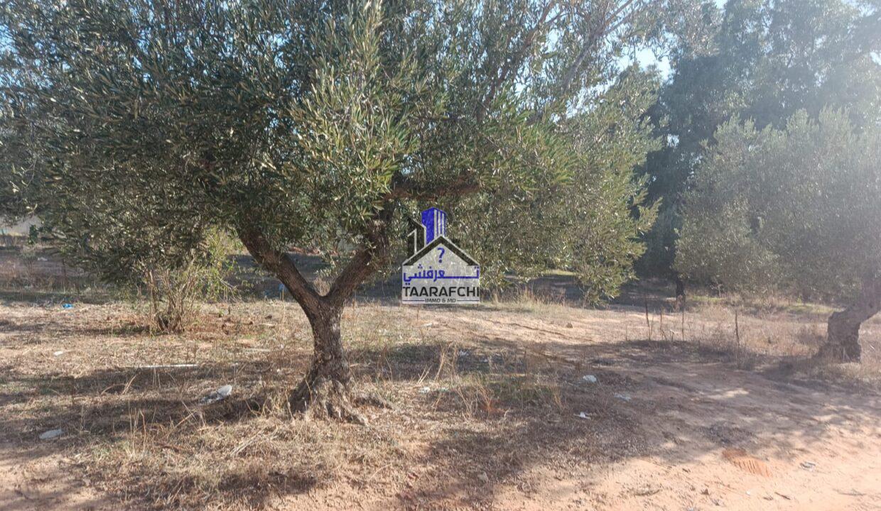 de3d67b6-3b83-40cf-9598-31bc19cd6dc6