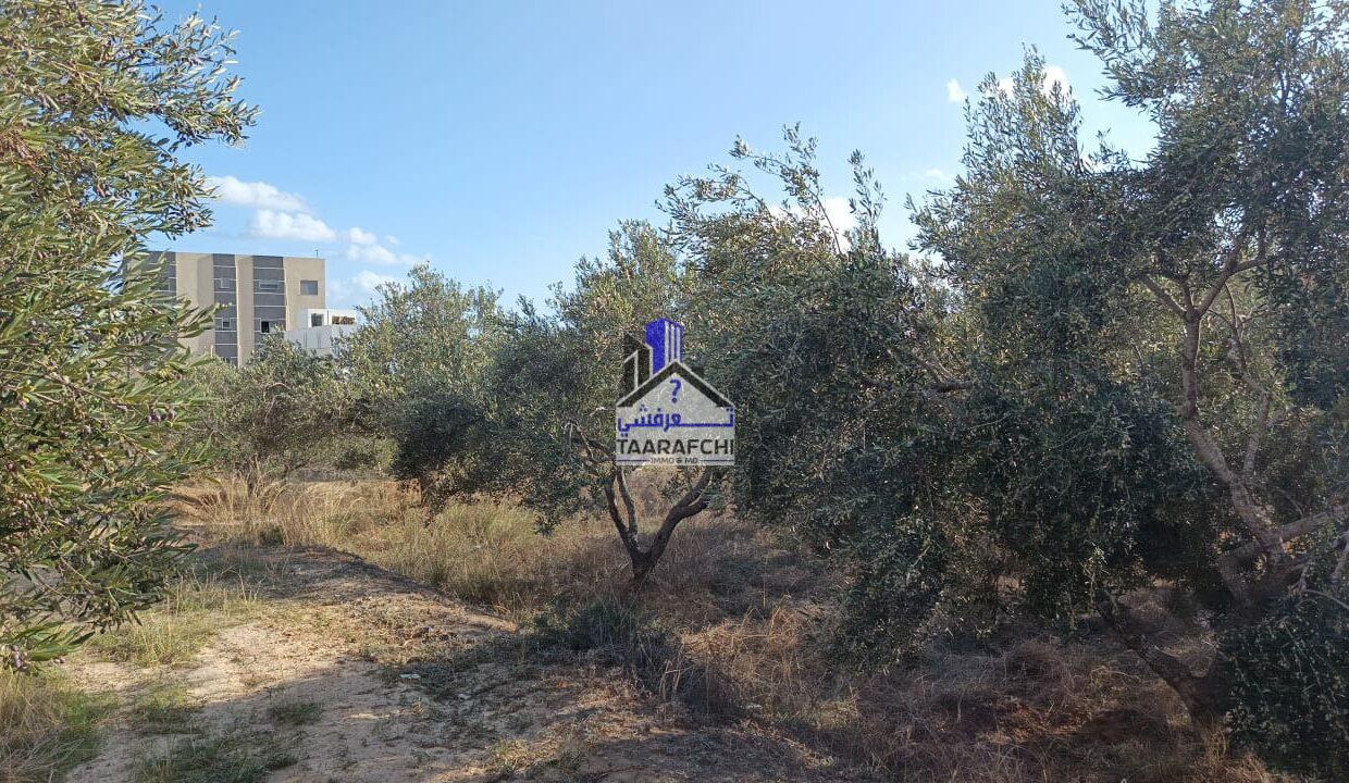 e04e236f-21ce-4062-a495-fa27bdda0478