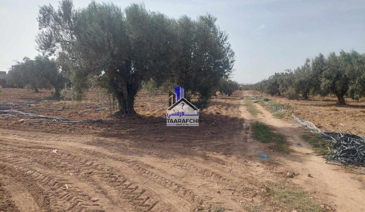 real estate (Facebook Post) (8)