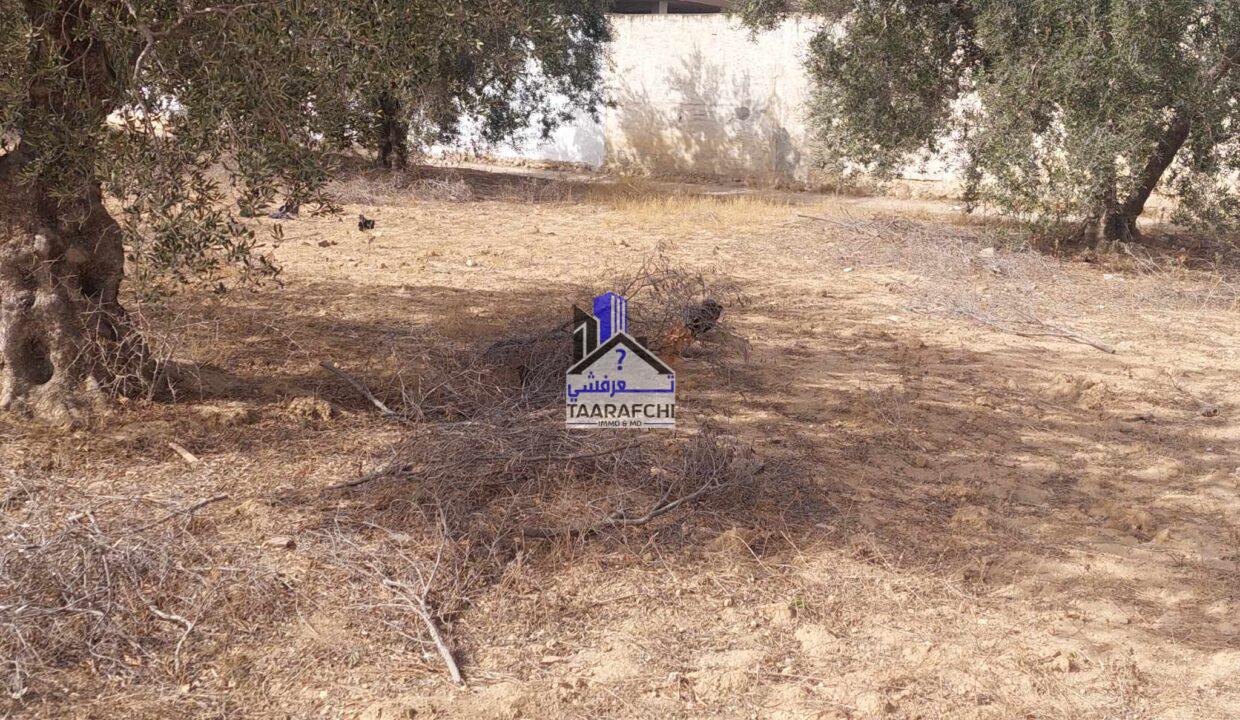 real estate (Facebook Post) (8)