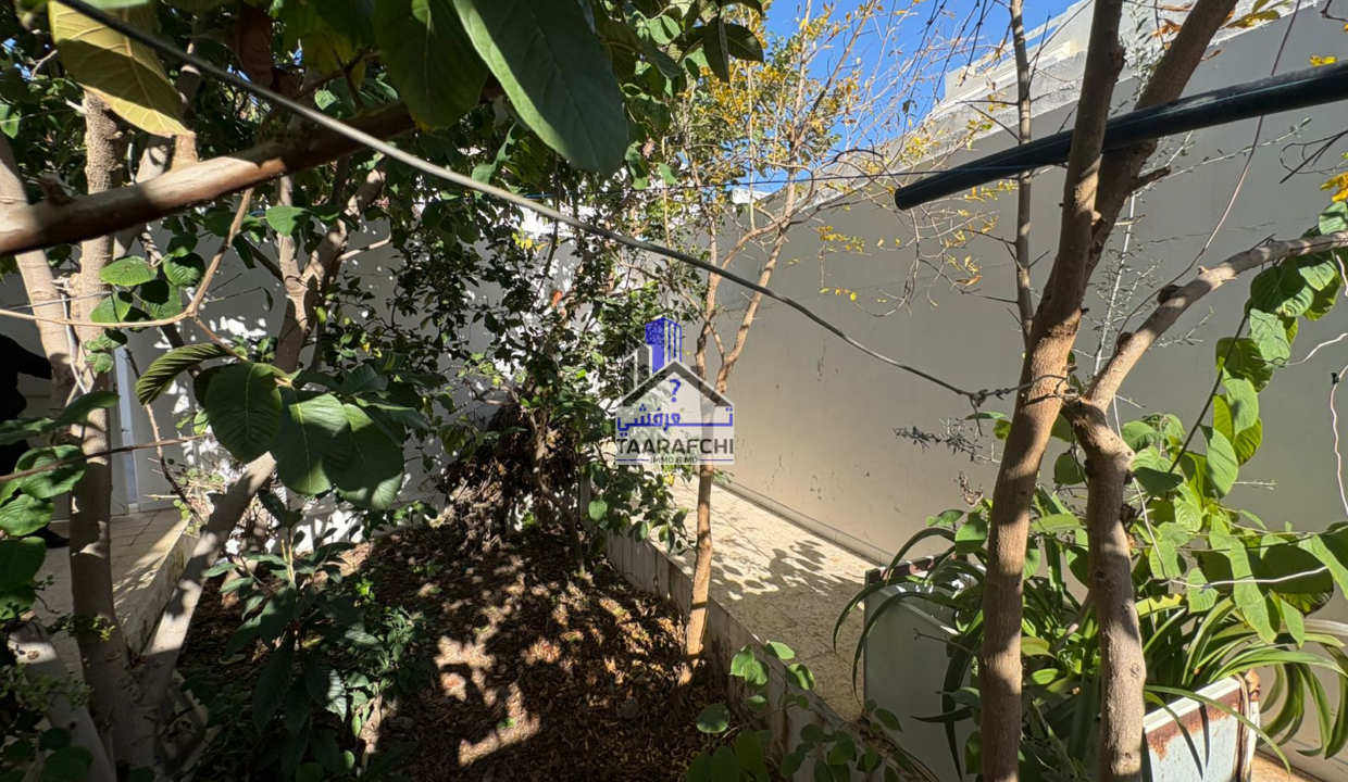 c3037f45-ac4b-46ba-9714-d5ffde7189c3