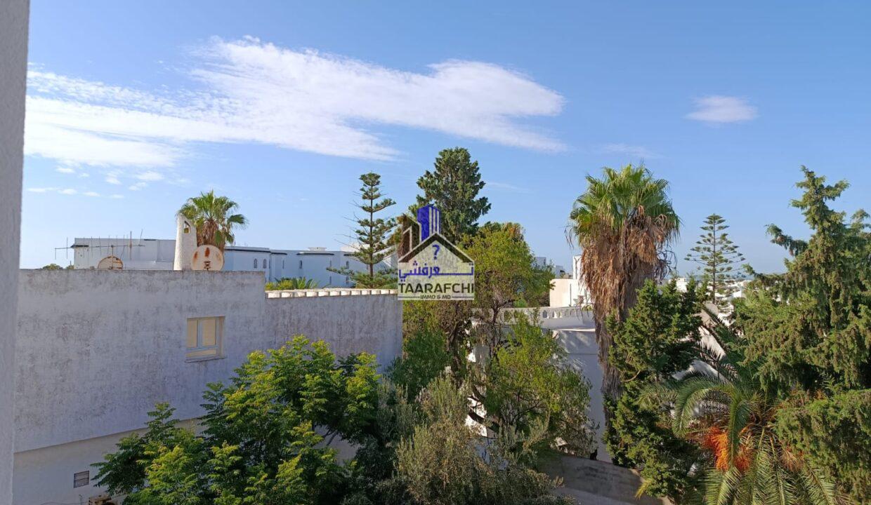 WhatsApp Image 2026-02-05 at 16.31.50