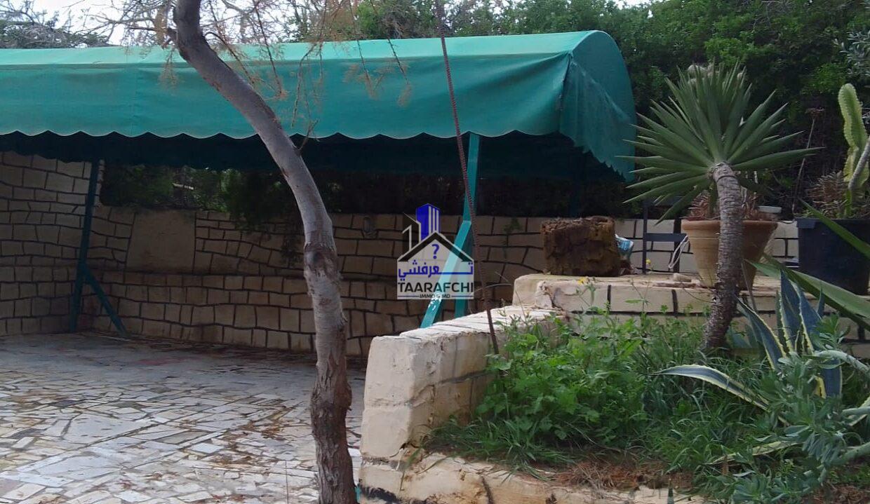 WhatsApp Image 2026-02-09 at 14.21.16